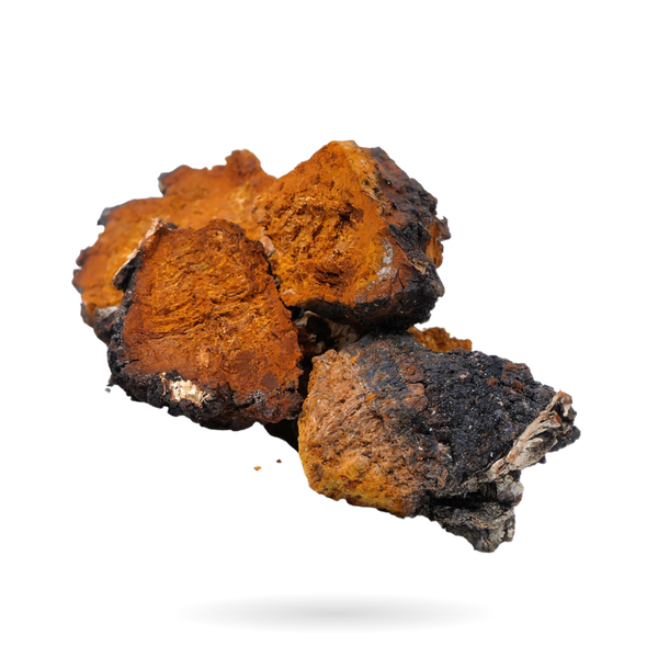 CHAGA