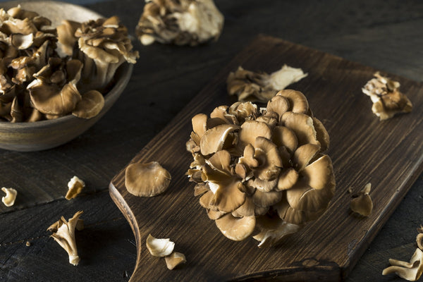 Fungi 101: Maitake Mushroom