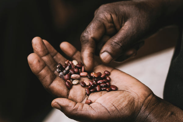 Black History &amp; Holistic Medicine: A Legacy of Healing and Resilience